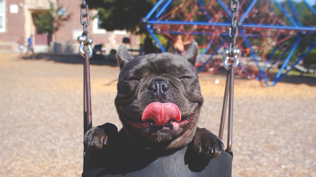 trick yourself into working out